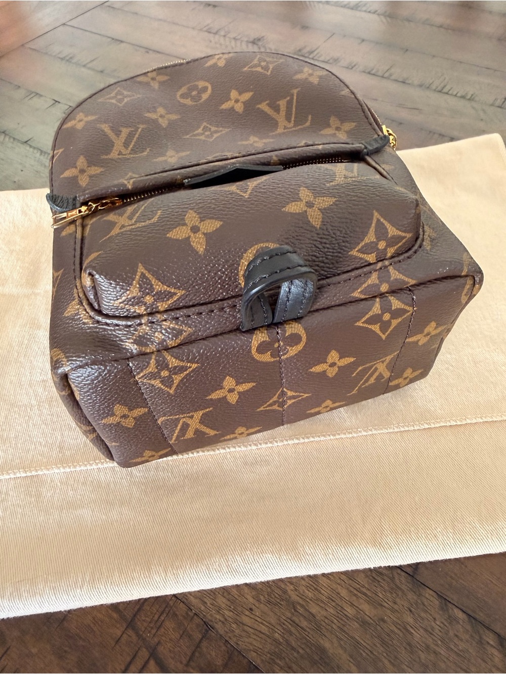 Louis Vuitton Palm Springs Mini - Picture 2 of 3